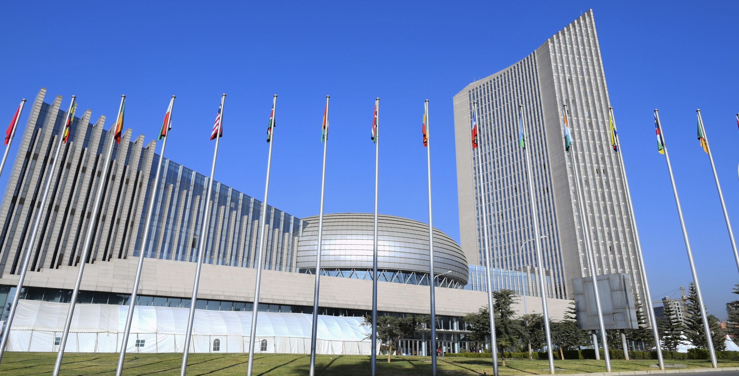 Can the AU Peace and Security Council Secure Africa on Its Own?
