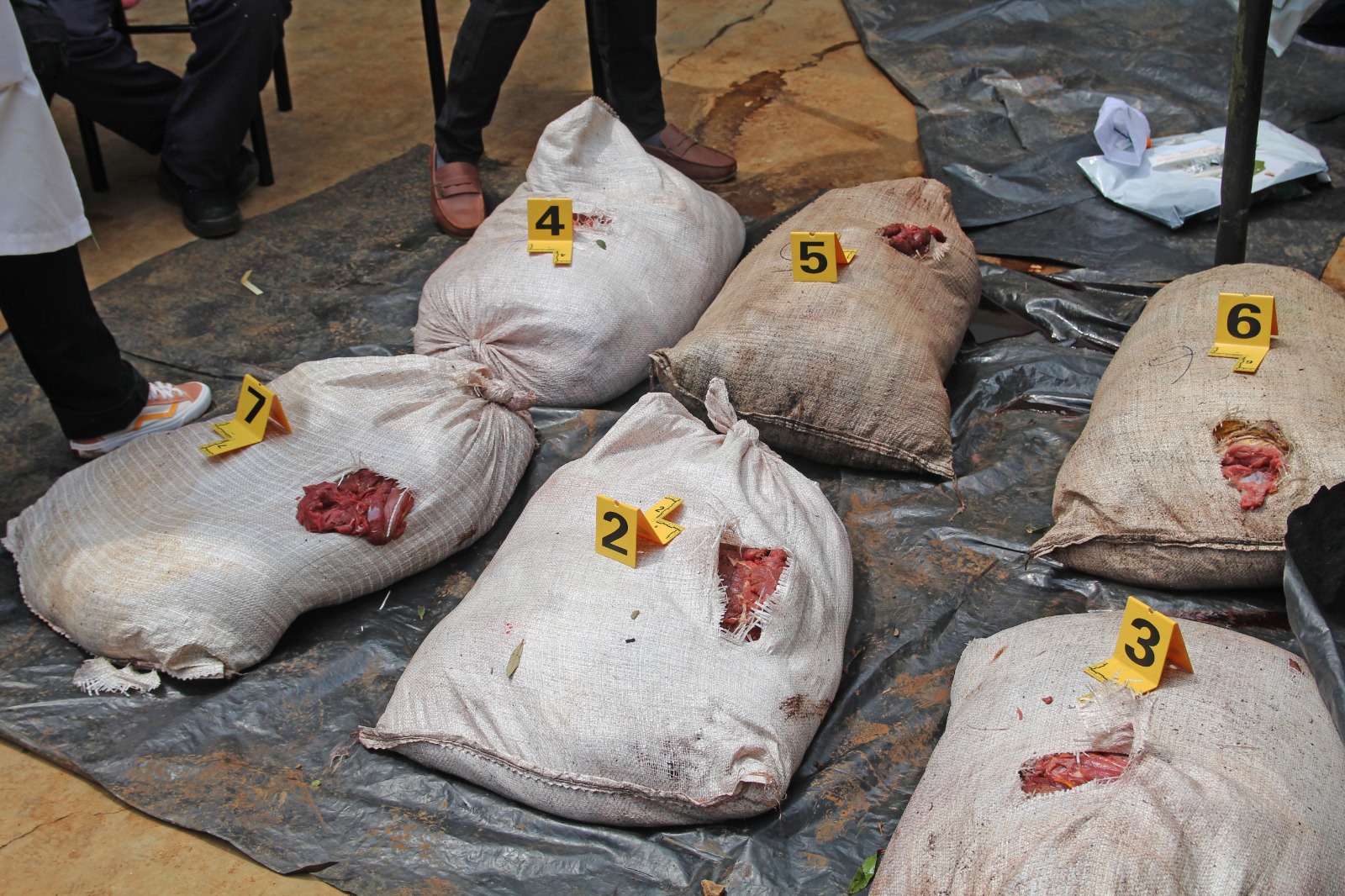 KWS seizes 2,000kg of bushmeat including suspected Zebra meat in Kiambu and Nairobi