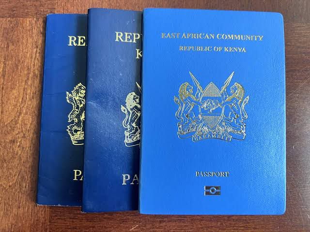 Slow ratification threatens push for visa-free Africa – China Daily