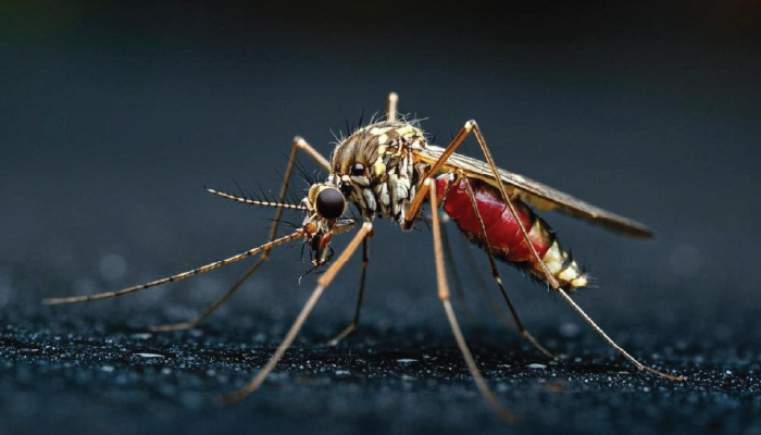 Strathmore Scientists Sound Alarm Over Rising Malaria Drug Resistance