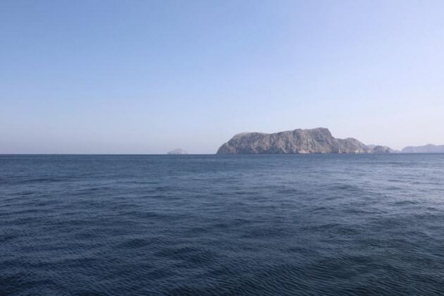 Iran begins letting some Chinese ships cross Strait of Hormuz: media – China Daily