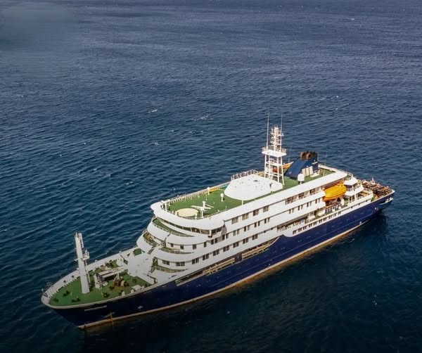 WHO Says Hantavirus Outbreak Not a Pandemic Risk After Cruise Ship Cases
