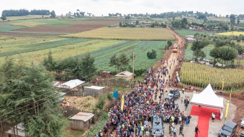 How Local Communities Are Leading the Revival of Mau forest complex