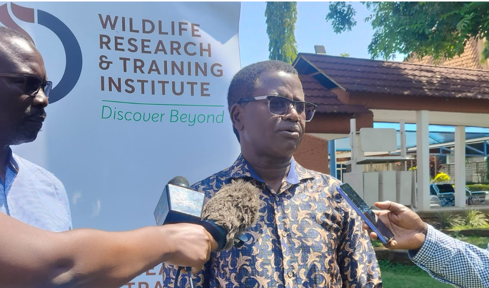 Kenya to launch national wildlife database in major conservation milestone