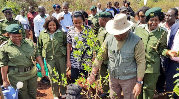 Image result for tree planting in kenya