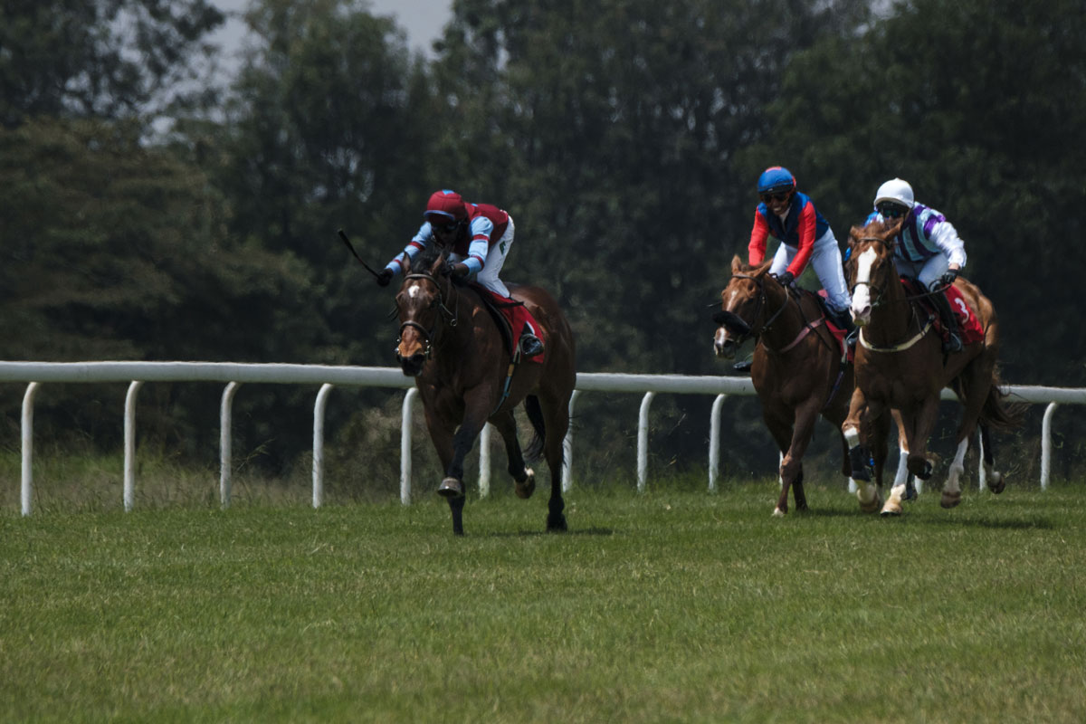 A Look At Horse Racing Growth In Kenya Ahead Of Last Race Of 2025 Uhuru Cup