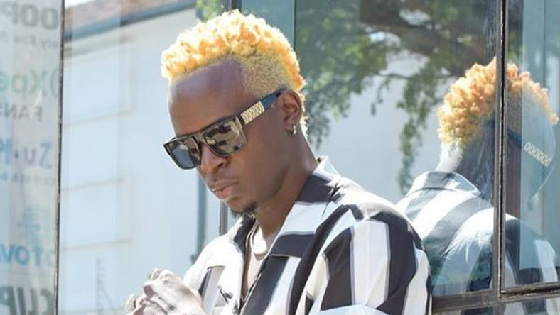 Image result for willy paul