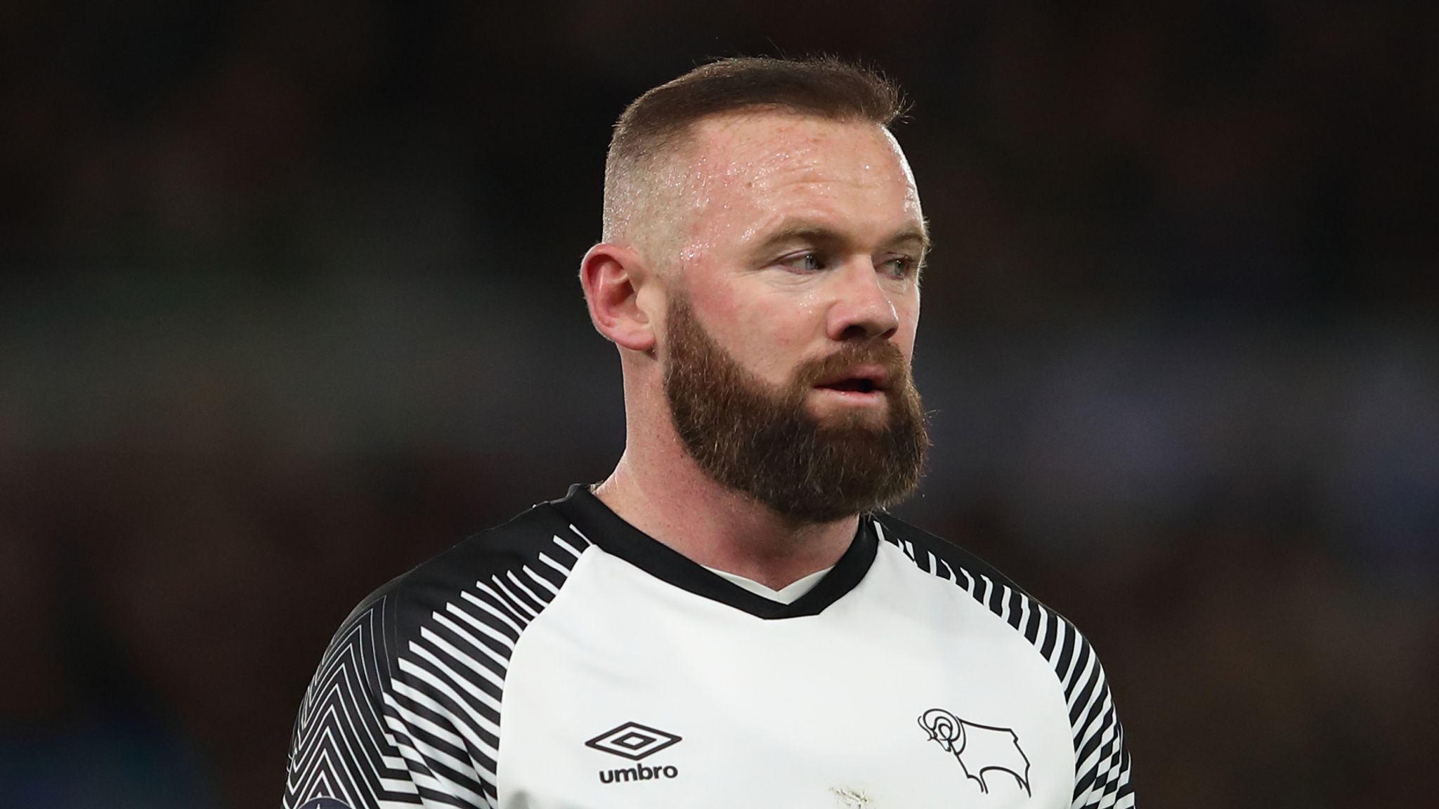 Wayne Rooney The Sauce